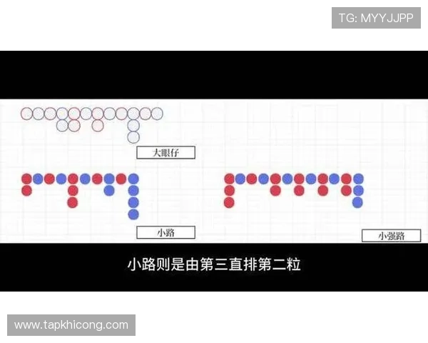 共咪百家乐最新技巧分享助你提升游戏胜率与盈利能力