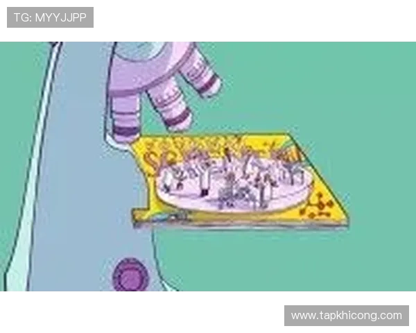 万利真人排行游戏排行榜数据分析，助你制定科学的提升策略