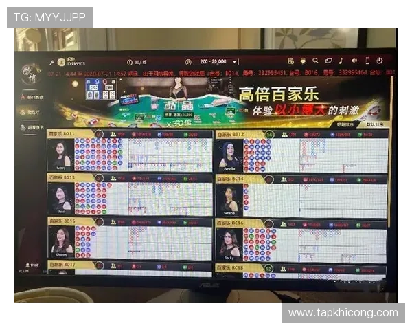 全面掌握百家乐路单教程帮助新手快速理解不同路单类型的使用技巧