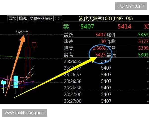 实用百家乐必赢公式大全，助你轻松应对各种游戏局势实现盈利