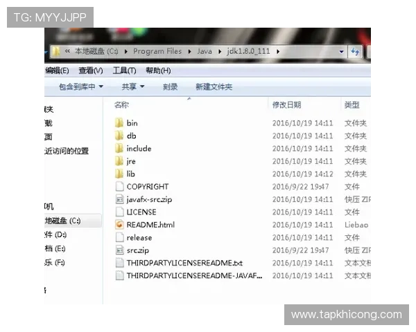 K8视讯电玩的多平台兼容性分析，支持手机、平板与PC多设备畅玩