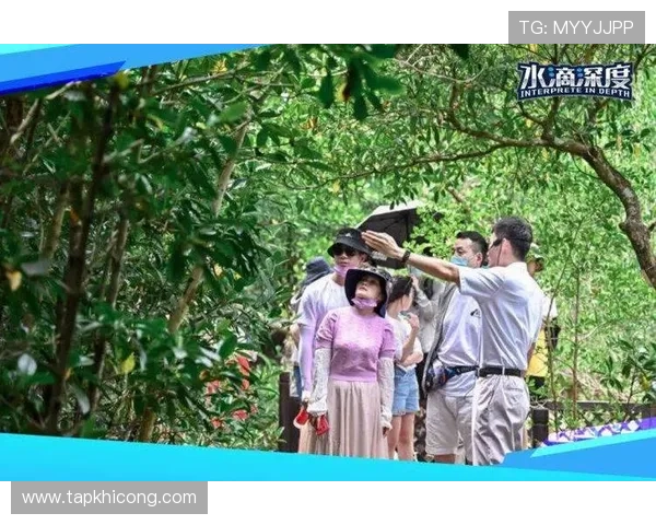 如何打造高品质真人互动式游戏实现玩家深度参与与情感共鸣